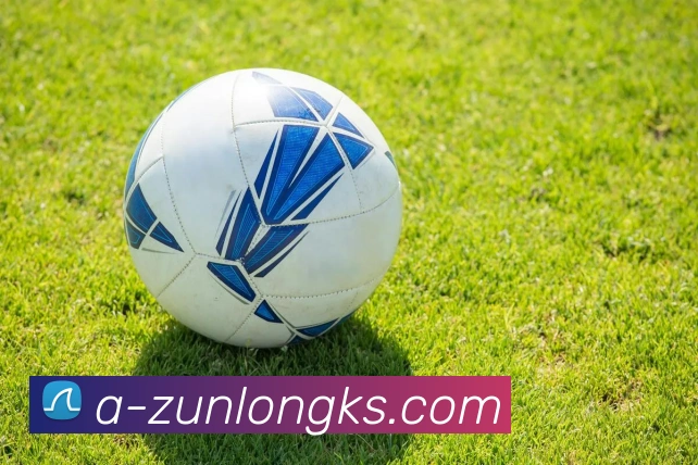 尊龙凯时官网APP 高清赛事图